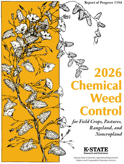 A yellow and white cover with a plant drawingAI-generated content may be incorrect.