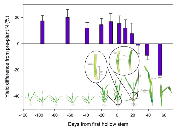 A diagram of a plant growthDescription automatically generated