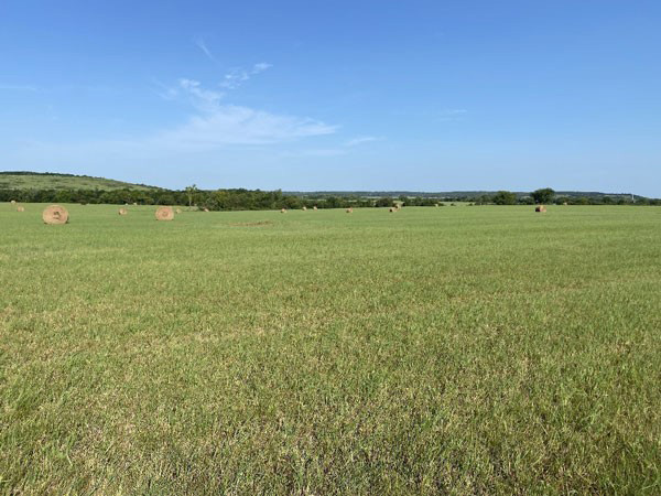 A field of grass with bales of hayAI-generated content may be incorrect.