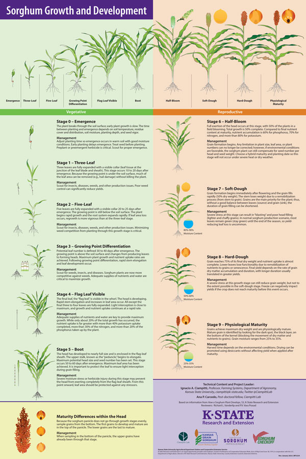 Agronomy eUpdate February 16th, 2023 : Issue 943