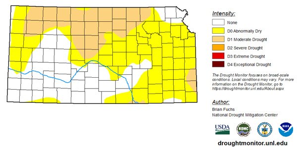 A map of the state of kansasAI-generated content may be incorrect.