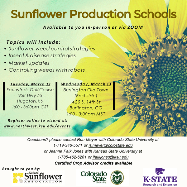 A poster for a sunflower production schoolsDescription automatically generated