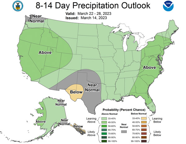 8 to 14 Day Outlook - Precipitation Probability