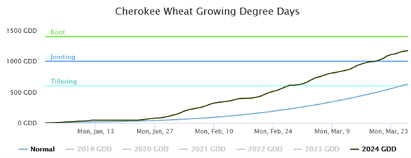 A graph of growth of wheatDescription automatically generated