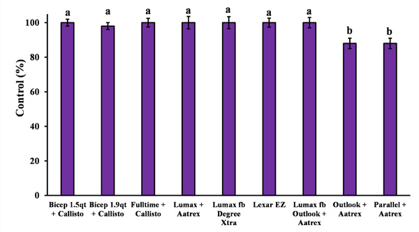 A graph of a patient's reactionAI-generated content may be incorrect.