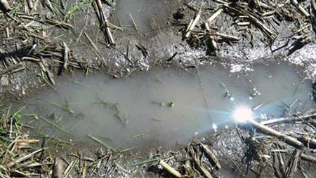 A puddle of water in the mudDescription automatically generated