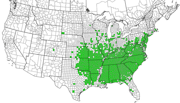 A map of the united statesAI-generated content may be incorrect.