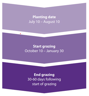 A screenshot of a calendarDescription automatically generated