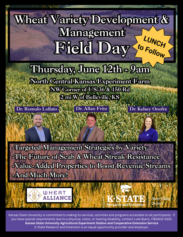 A poster for a field dayAI-generated content may be incorrect.