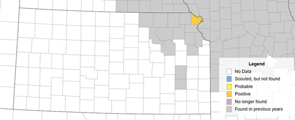 A map of the state of coloradoAI-generated content may be incorrect.