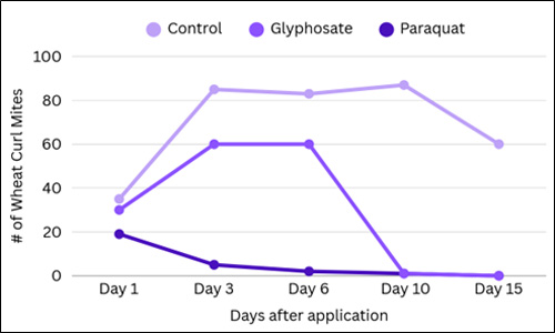 A graph showing the results of a testAI-generated content may be incorrect.