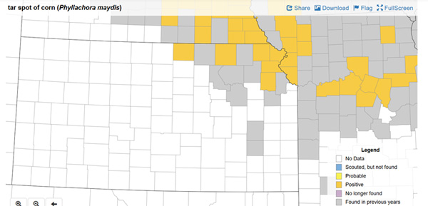 A map of the united statesAI-generated content may be incorrect.