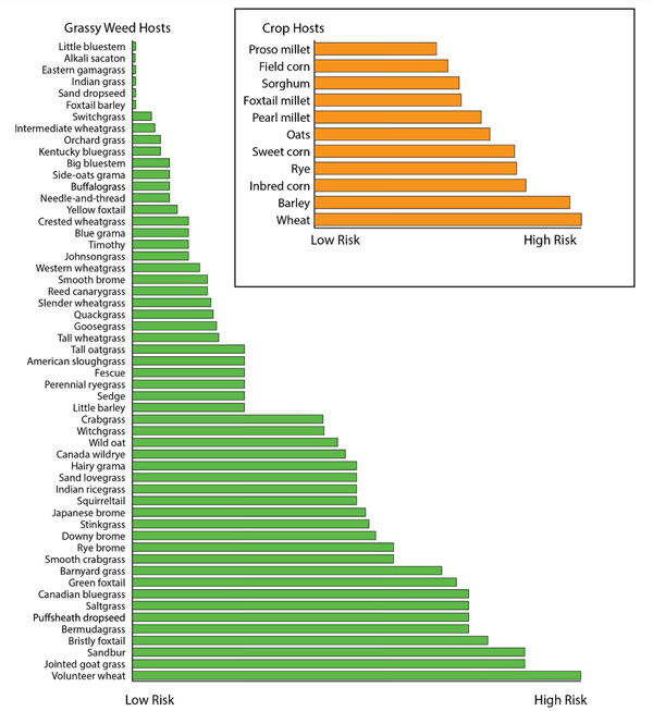 A graph showing the number of crops in the cropAI-generated content may be incorrect.