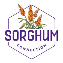 A logo with purple textDescription automatically generated
