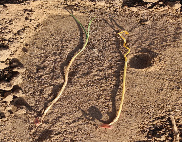 Long thin and long thin wires on the sandAI-generated content may be incorrect.