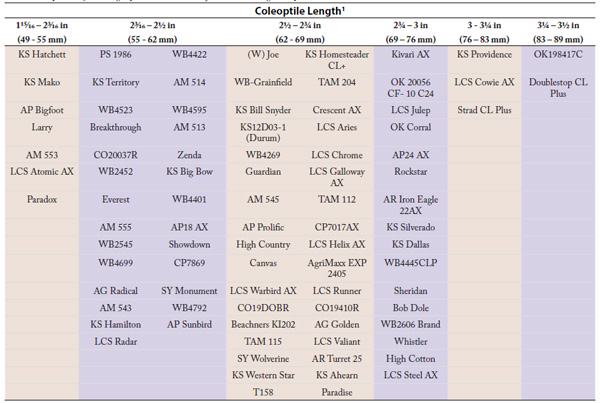 A table with text and numbersAI-generated content may be incorrect.