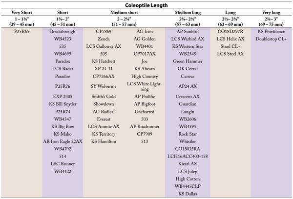 A table with a number of different sizesDescription automatically generated with medium confidence