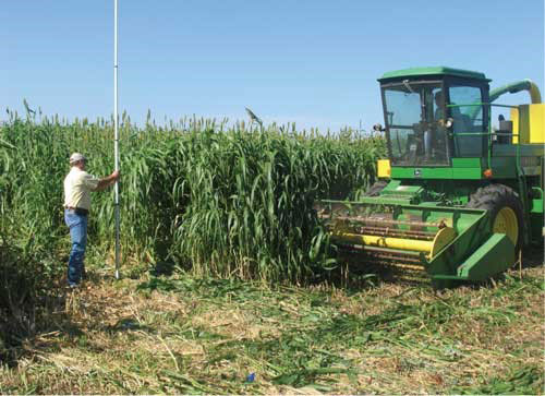 A farmer working in a farmDescription automatically generated with medium confidence