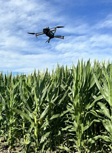 A drone flying over a corn fieldAI-generated content may be incorrect.