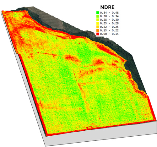 A map of a farm landAI-generated content may be incorrect.
