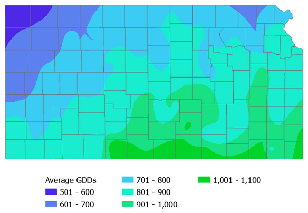 A map of different colored squaresAI-generated content may be incorrect.