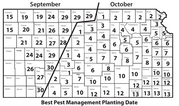 A calendar with numbers and a lineAI-generated content may be incorrect.