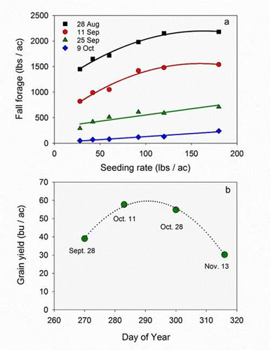 https://webapp.agron.ksu.edu/agr_social/lib/Filemanager/userfiles/09062019/Early-planting-wheat-problems-F02.jpg