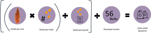 A diagram of a balance scaleAI-generated content may be incorrect.