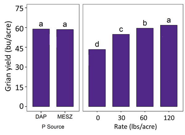 A graph of different sizes of barsAI-generated content may be incorrect.