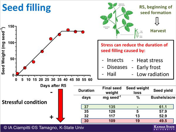 A diagram of a plant with red dotsDescription automatically generated