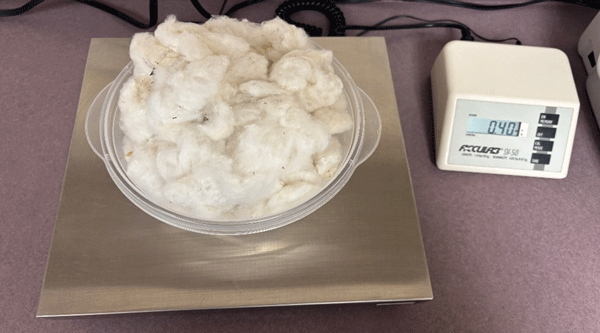 A bowl of cotton on a scaleAI-generated content may be incorrect.