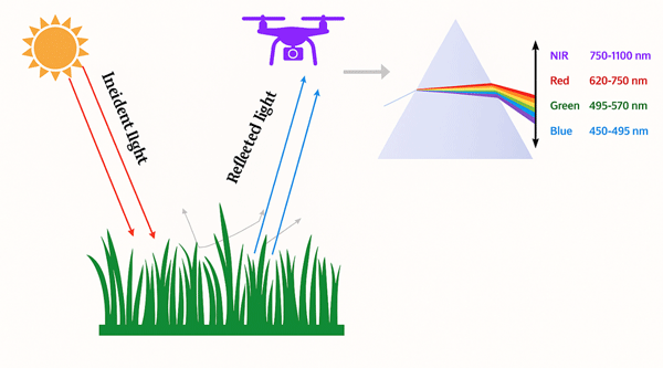 A diagram of a light sourceAI-generated content may be incorrect.