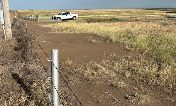 A white truck parked in a fieldAI-generated content may be incorrect.