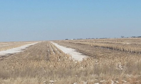 A field with a dirt roadAI-generated content may be incorrect.