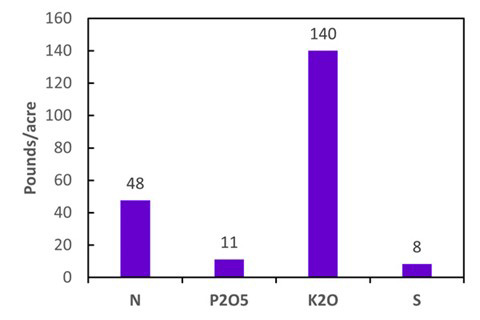 A graph of numbers and a number of objectsAI-generated content may be incorrect.