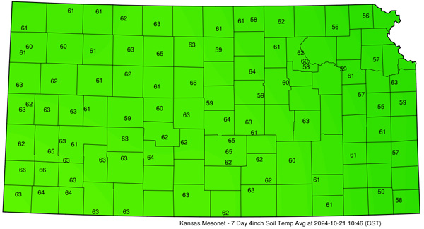 A green squares with black numbersDescription automatically generated