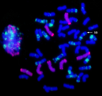 A close-up of a microscopeDescription automatically generated