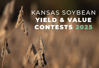 A close up of a plantAI-generated content may be incorrect.