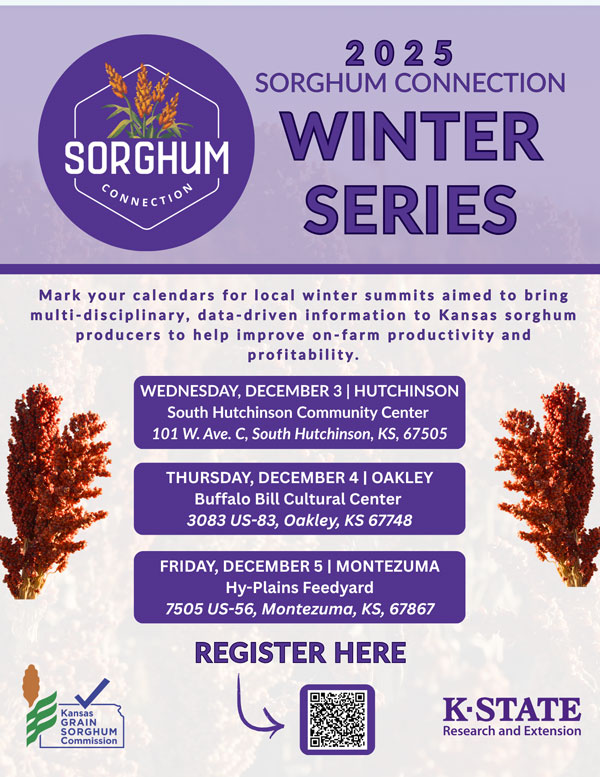 A poster for a winter series eventAI-generated content may be incorrect.
