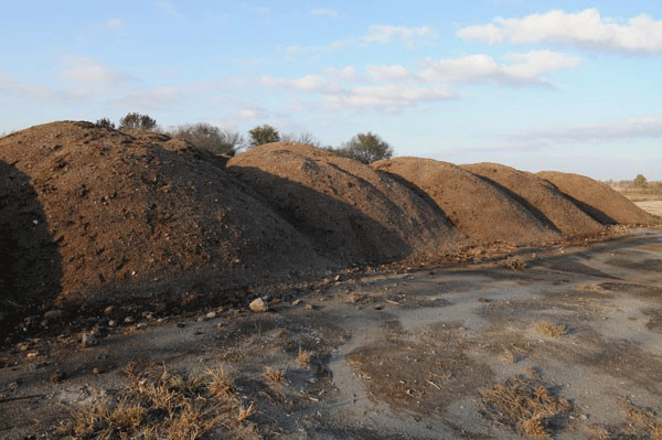 A close-up of a dirt hillDescription automatically generated