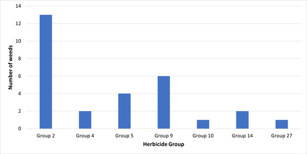A graph of a groupAI-generated content may be incorrect.