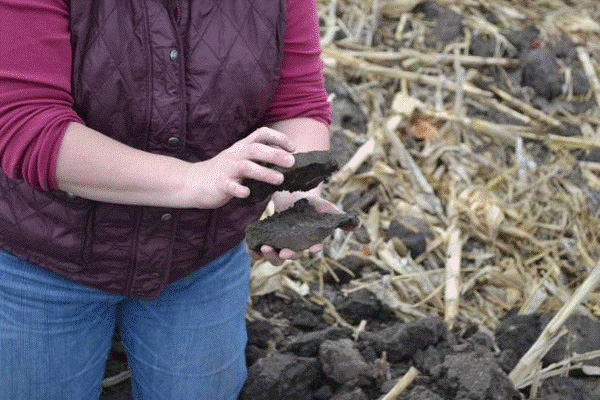 A person holding dirt in their handsDescription automatically generated