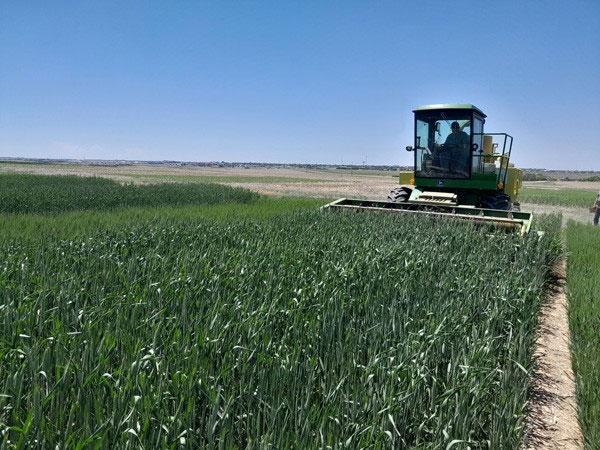 A tractor in a fieldAI-generated content may be incorrect.